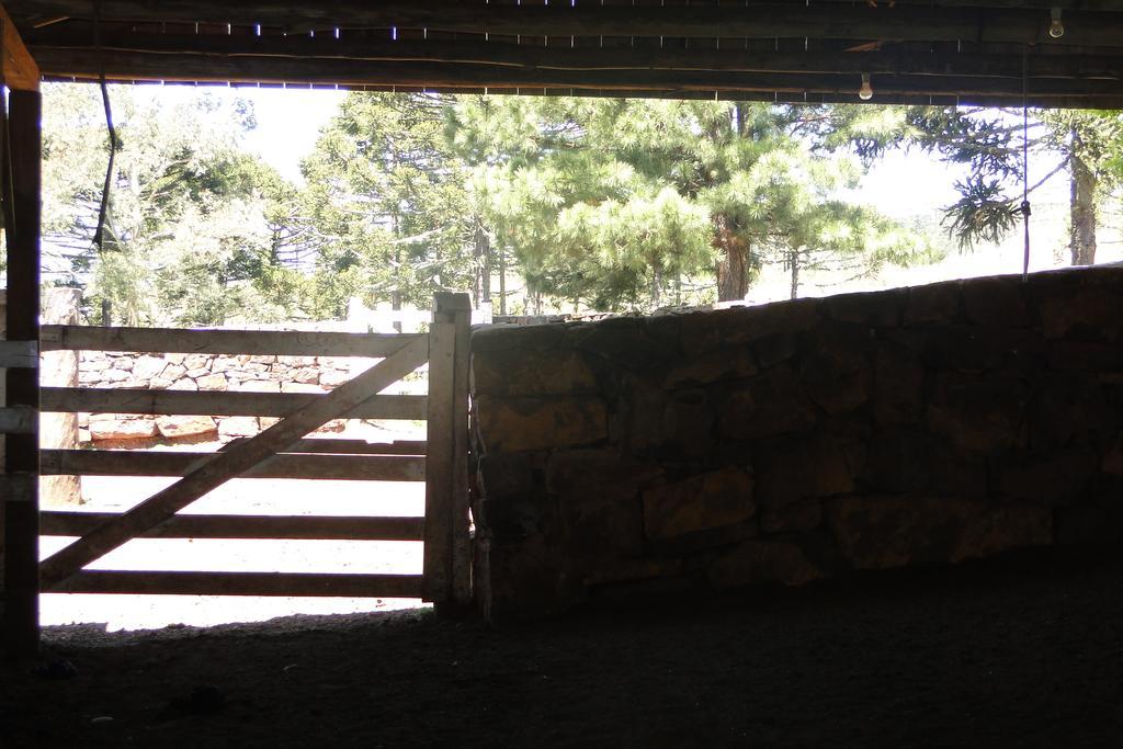 Hotel Fazenda Boutique Terra Do Gelo Bom Jardim da Serra Zewnętrze zdjęcie