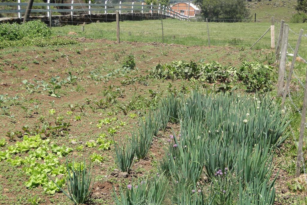 Hotel Fazenda Boutique Terra Do Gelo Bom Jardim da Serra Zewnętrze zdjęcie