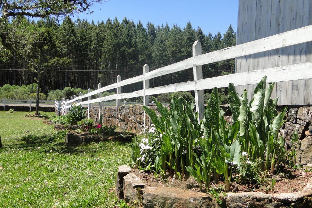 Hotel Fazenda Boutique Terra Do Gelo Bom Jardim da Serra Zewnętrze zdjęcie